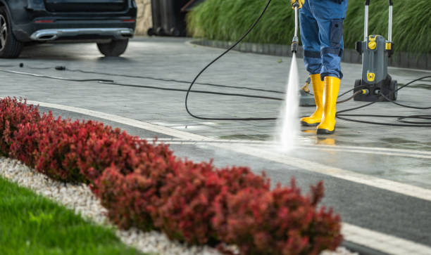 Trusted Trappe, MD Pressure Washing Services Experts